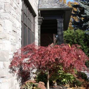 CH Stonework Stone Masonry Contractor Toronto