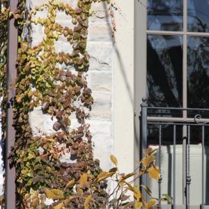 CH Stonework stone masonry contractor Toronto-0194 CH Stonework Stone Masonry Contractor Toronto