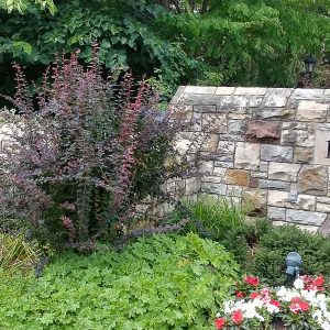 Stone Fence by Ch Stonework stone mason Toronto
